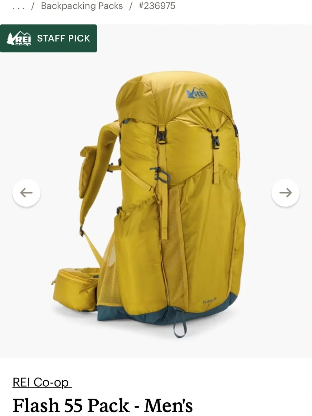 REI Flash 62 Backpacking Pack